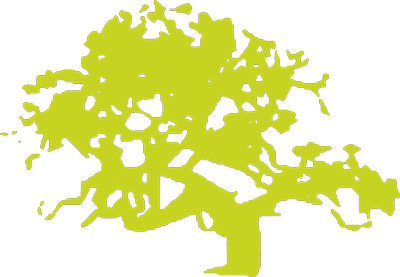 cropped ARBOL LARRUS